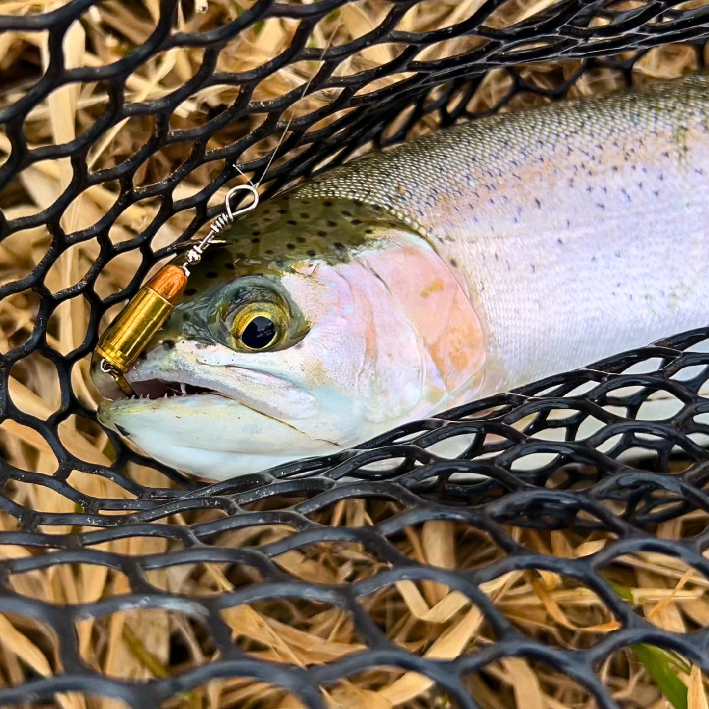 .25ACP Bullet Lure