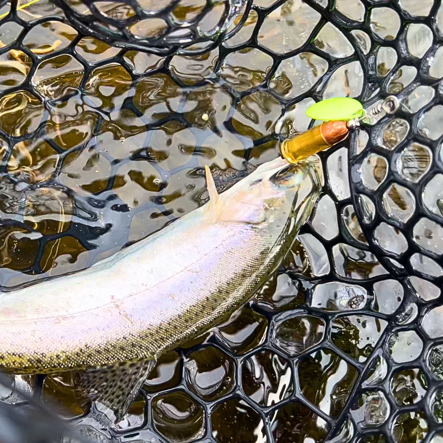 .32ACP Bullet Lure