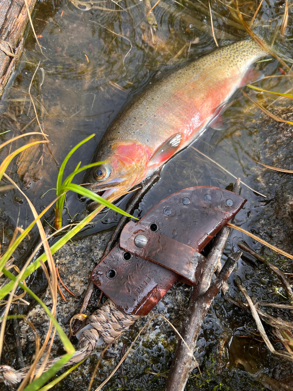 NWFS Survival Knife (NEW)