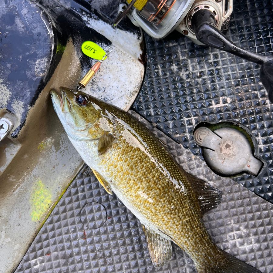 bass bullet fishing lure 22LR Bullet Lure – LEIF'S Bullet Lures