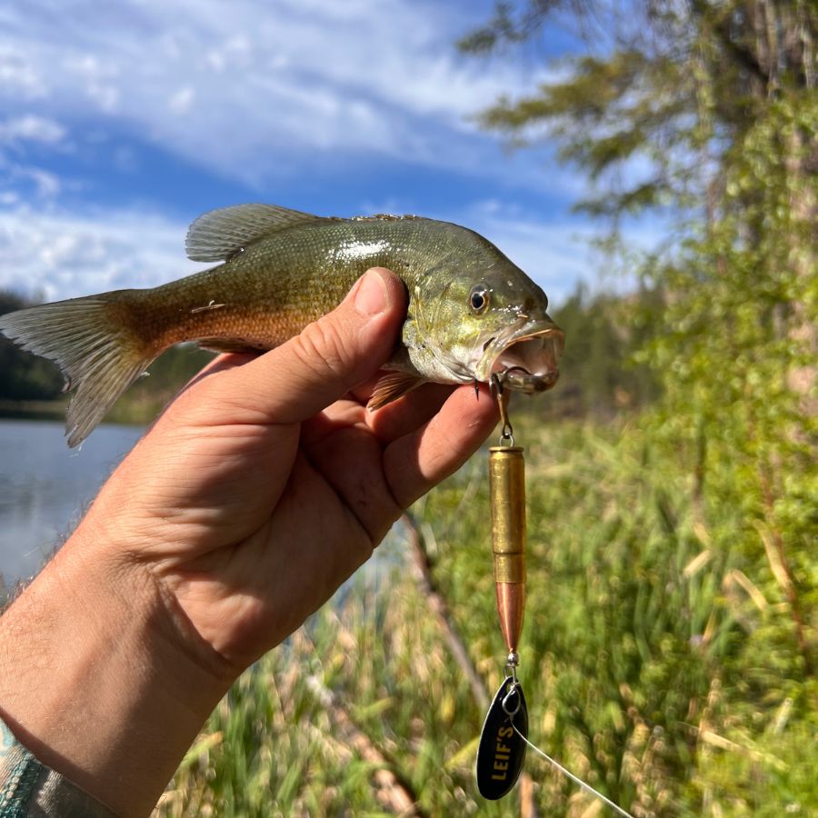 do you need to use a lure at 300 fishing 300 Blackout Bullet Lure (NEW) – LEIF'S Bullet Lures