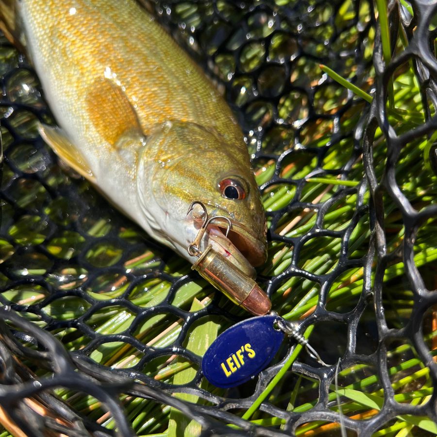 .32ACP Bullet Lure – LEIF'S Bullet Lures