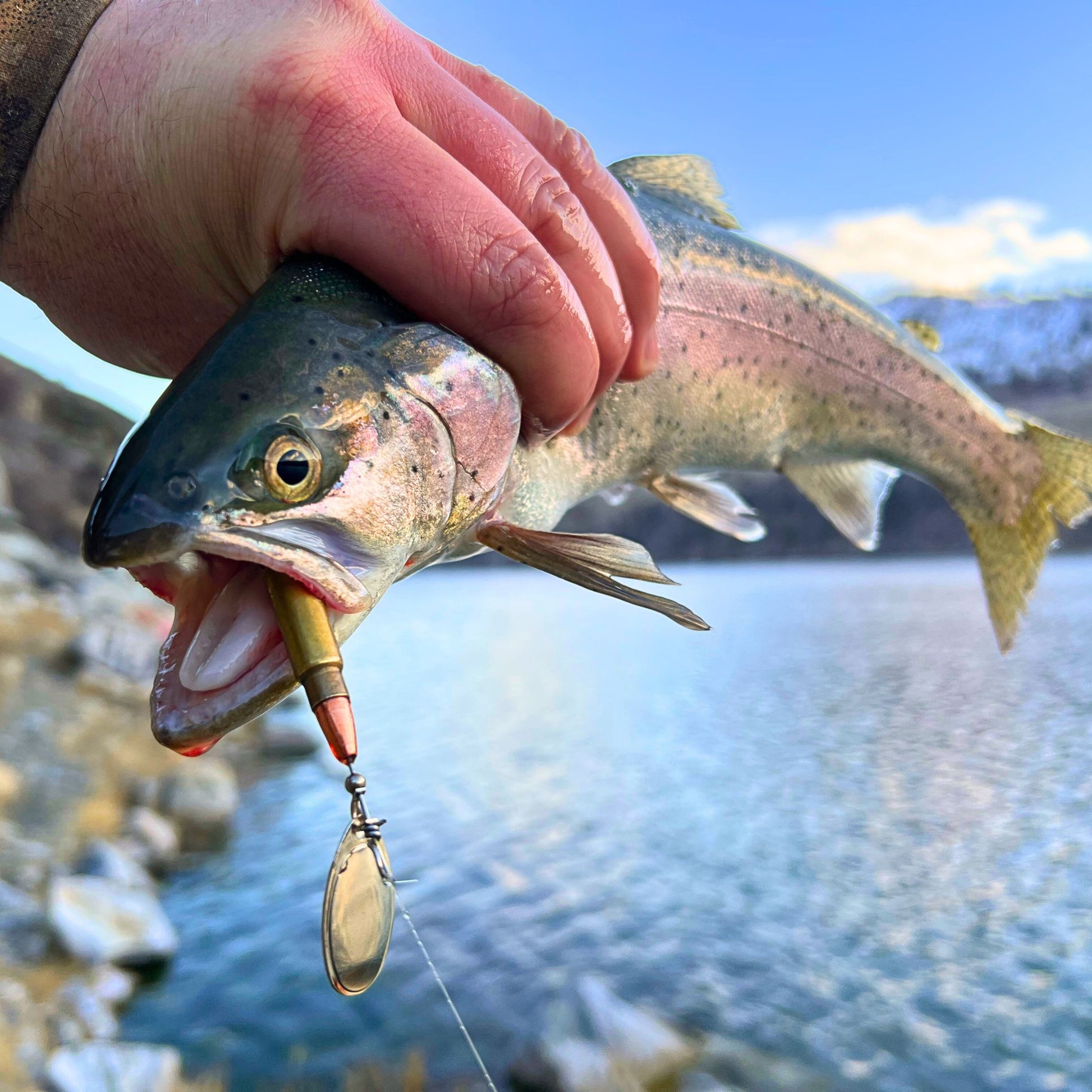 best lake lures for trout 5.7x28mm Bullet Lure (NEW) – LEIF'S Bullet Lures