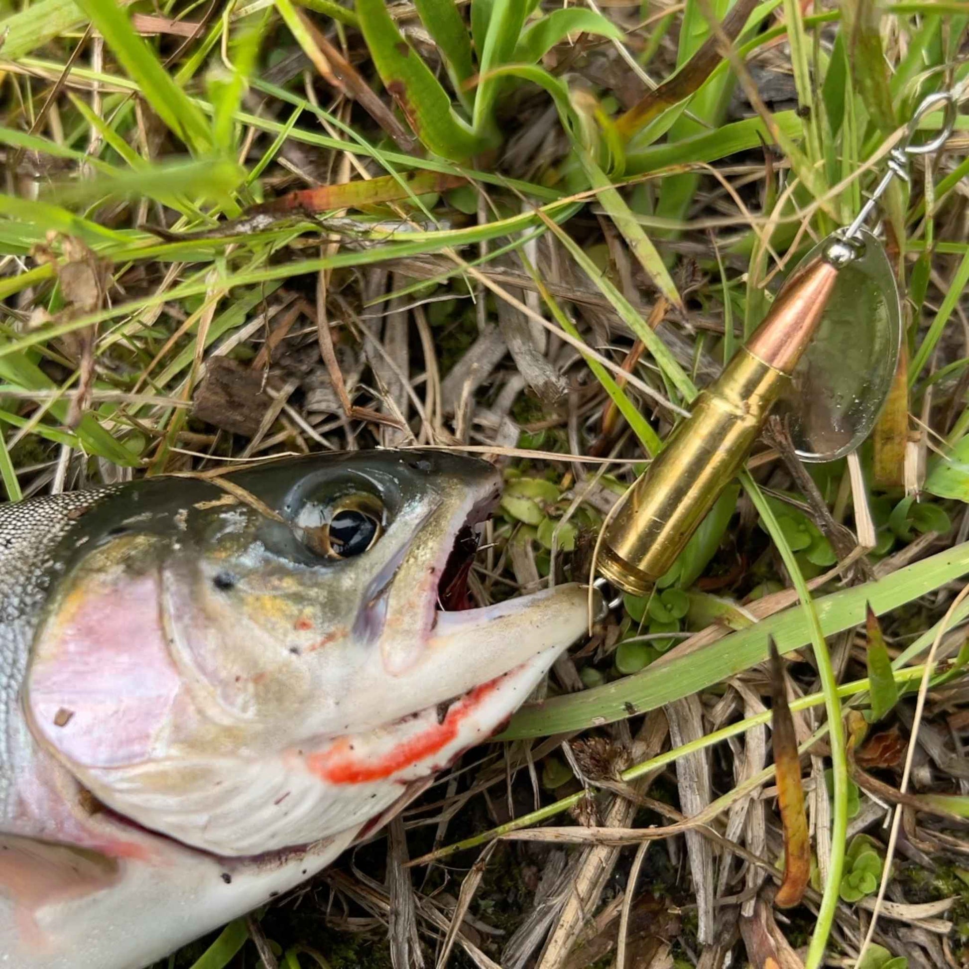 ammo fishing lures Tactical Anglers TA Smart Sea Pencil Sr Originally designed for surf fishing for striped bass but versatile to catch many other varieties of gamefish Moonshine Lures Moonmaster Trolling Spoon